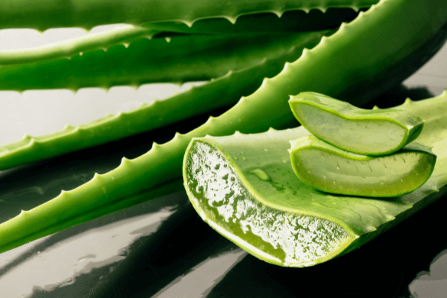 Natural remedy for anal fistulas using aloe vera to soothe and promote healing.